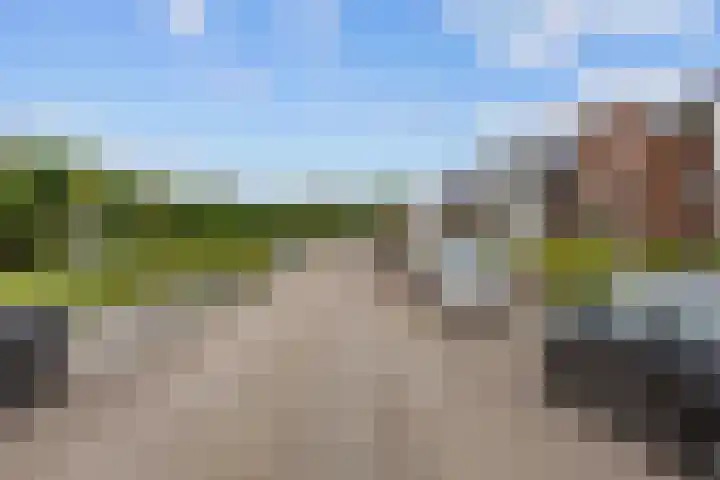 Nieuwstad 15 Farmsum thumbnail 58