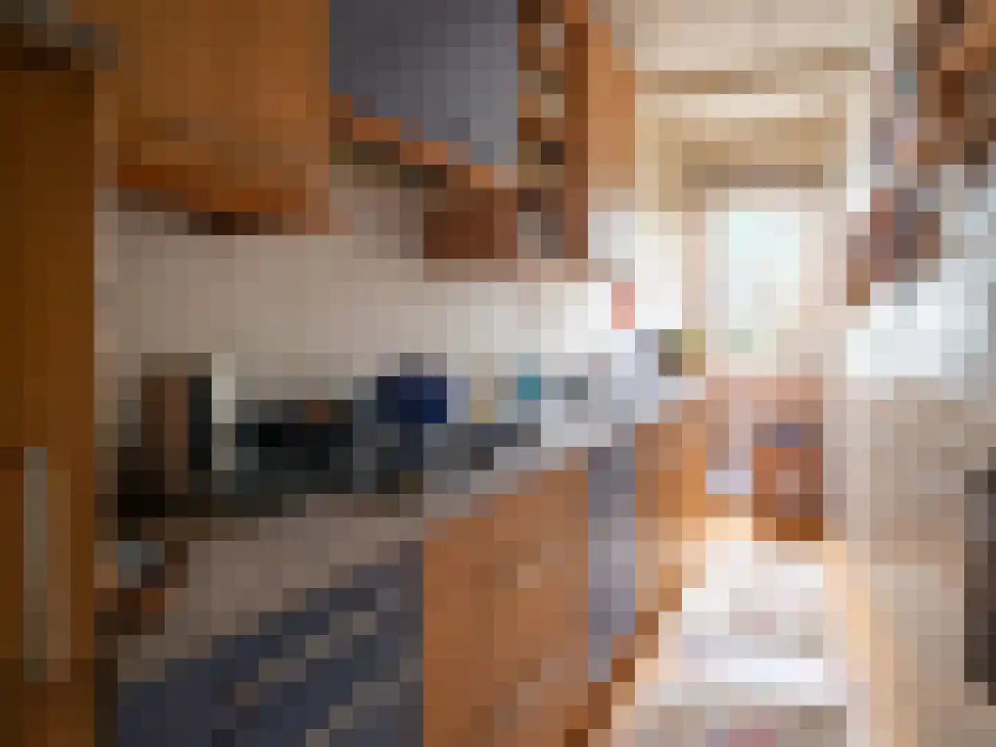 Nieuwstad 16 Zutphen thumbnail 15