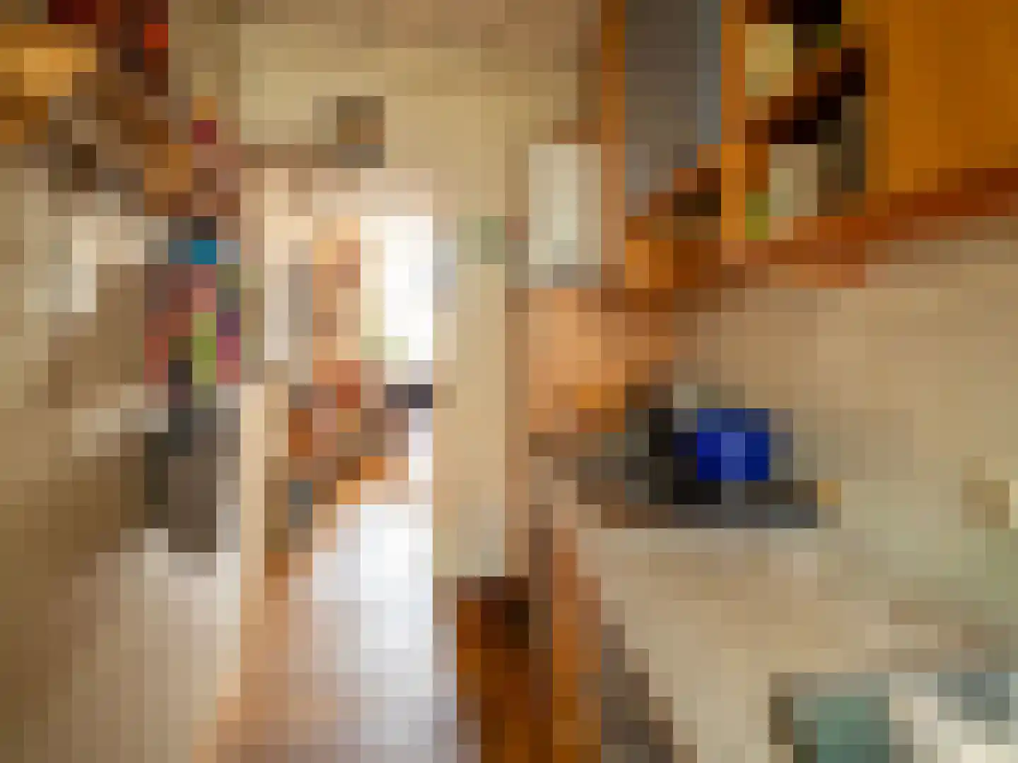 Nieuwstad 16 Zutphen thumbnail 16