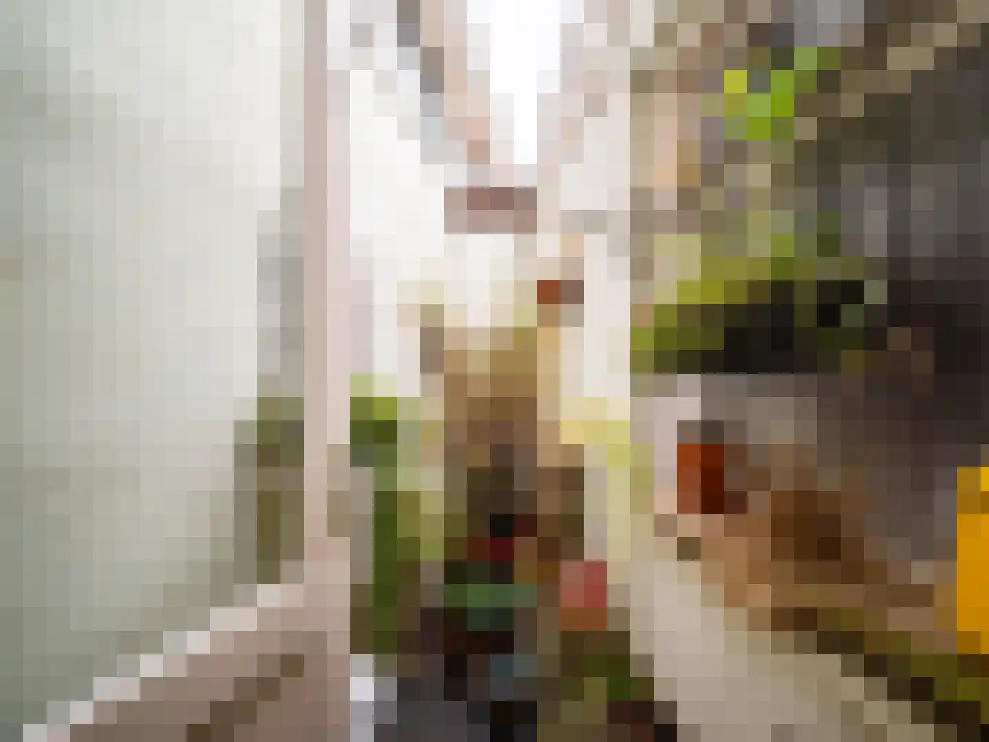 Nieuwstad 16 Zutphen thumbnail 17
