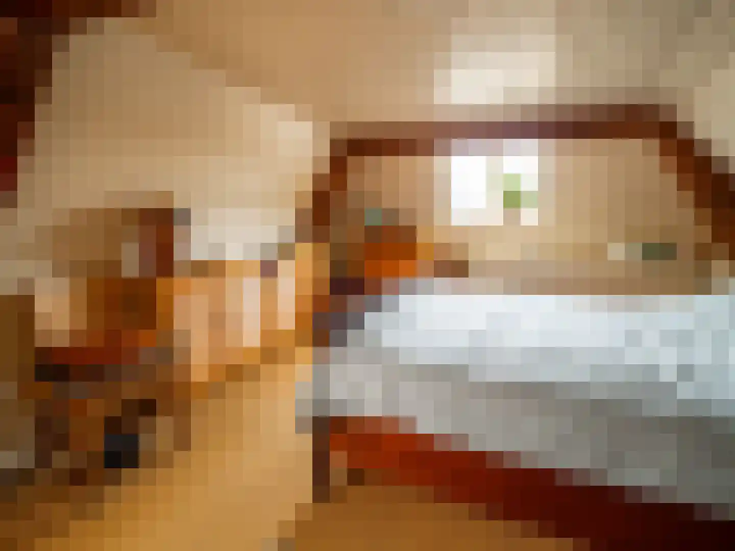Nieuwstad 16 Zutphen thumbnail 20
