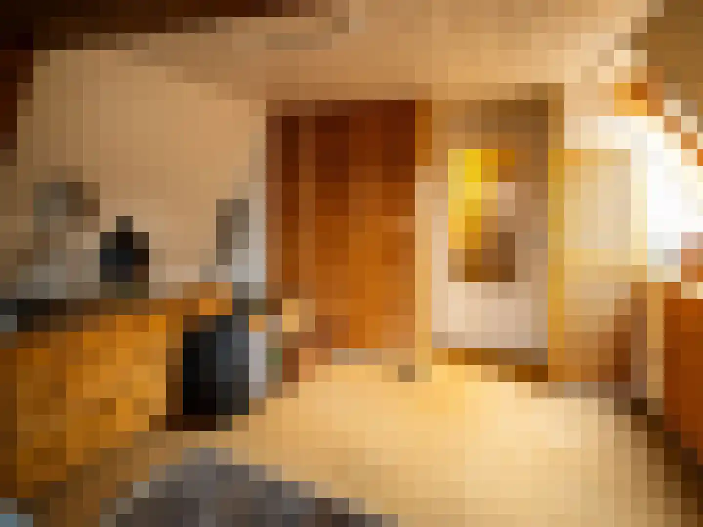 Nieuwstad 16 Zutphen thumbnail 21