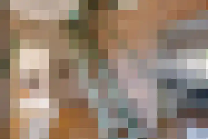 Nieuwstad 18 Vorden thumbnail 12