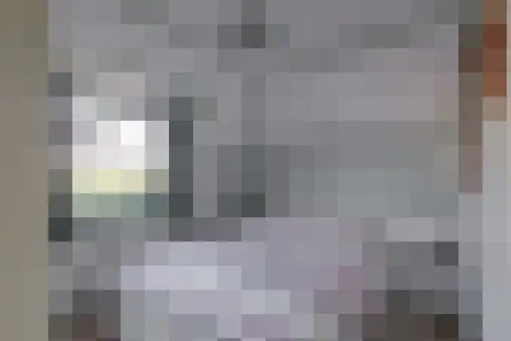 Nieuwstad 18 Vorden thumbnail 13