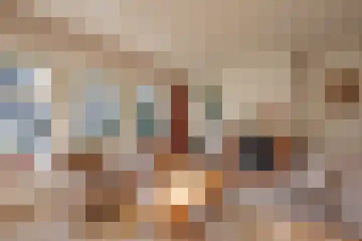 Nieuwstad 18 Vorden thumbnail 4