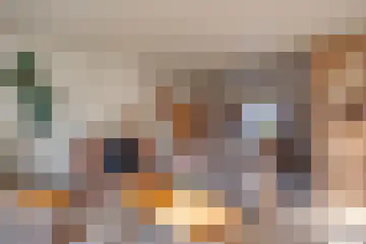 Nieuwstad 18 Vorden thumbnail 5