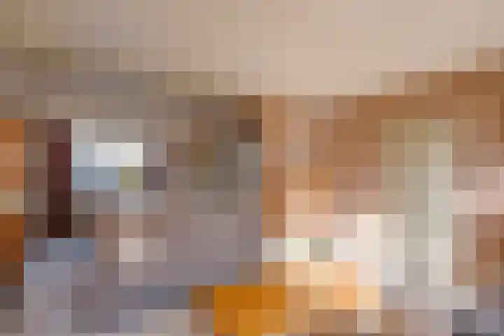 Nieuwstad 18 Vorden thumbnail 6