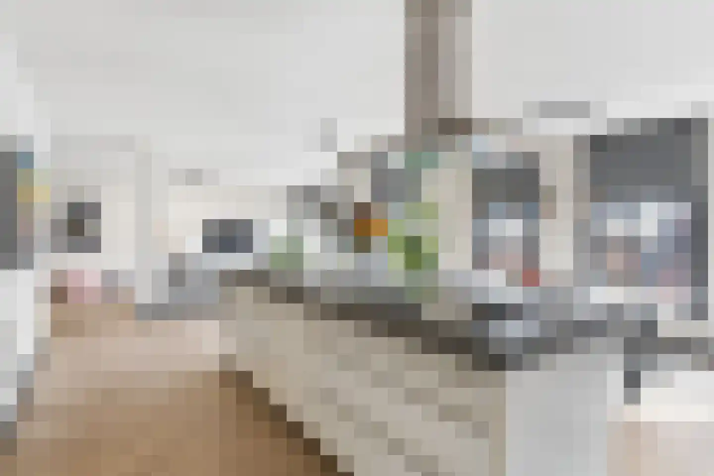 Nieuwstad 23 Arnhem thumbnail 10