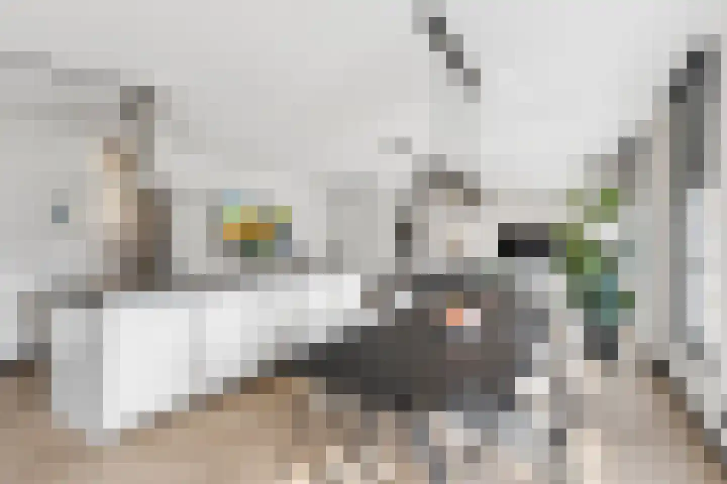 Nieuwstad 23 Arnhem thumbnail 9