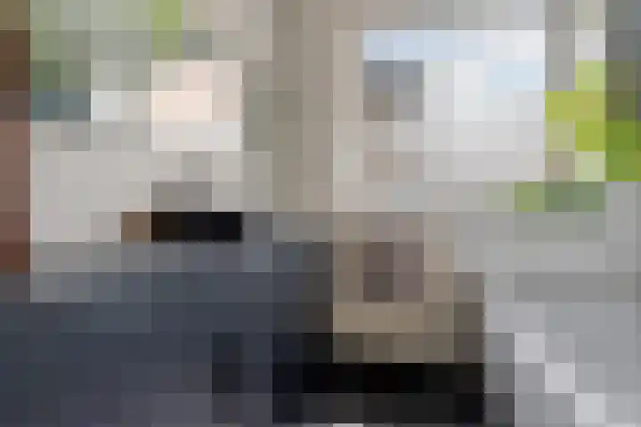 Nieuwstad 24 Arnhem thumbnail 22