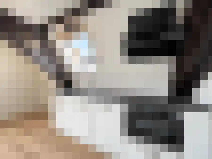 Nieuwstad 25 Zutphen thumbnail 4