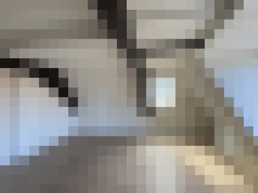 Nieuwstad 25 Zutphen thumbnail 5