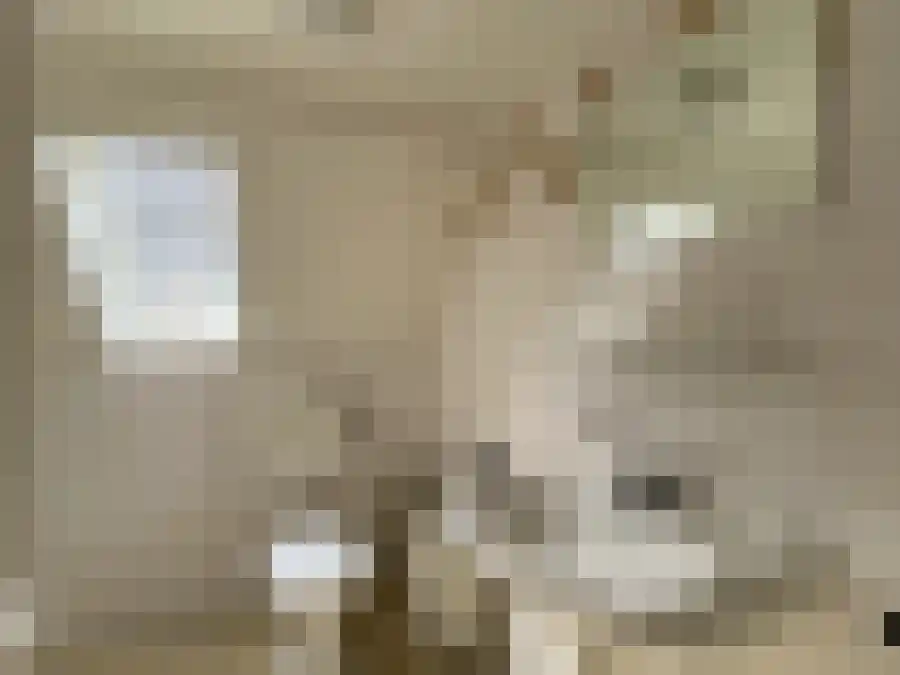 Nieuwstad 25 Zutphen thumbnail 6