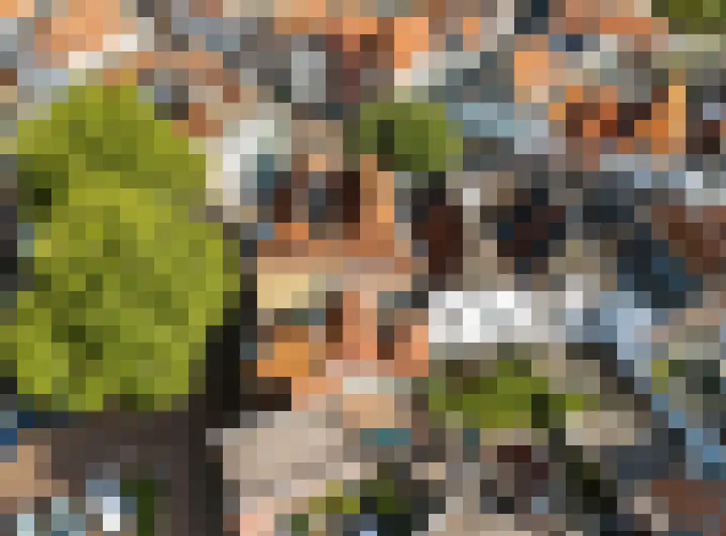 Nieuwstad 29 a Zutphen thumbnail 45