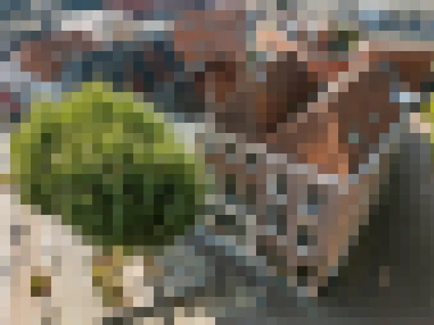 Nieuwstad 29 a Zutphen thumbnail 46