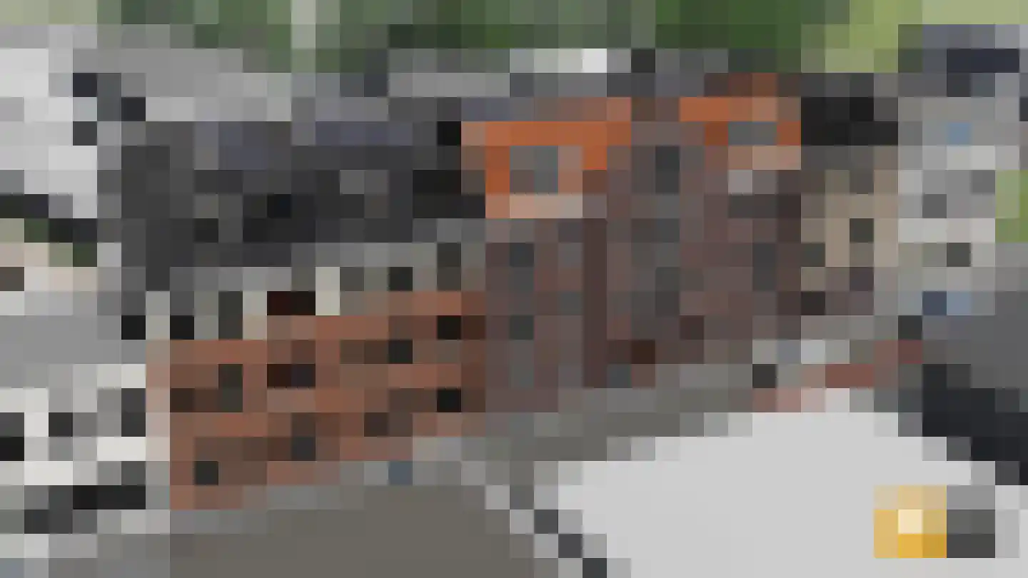 Nieuwstad 29 b Lochem thumbnail 6