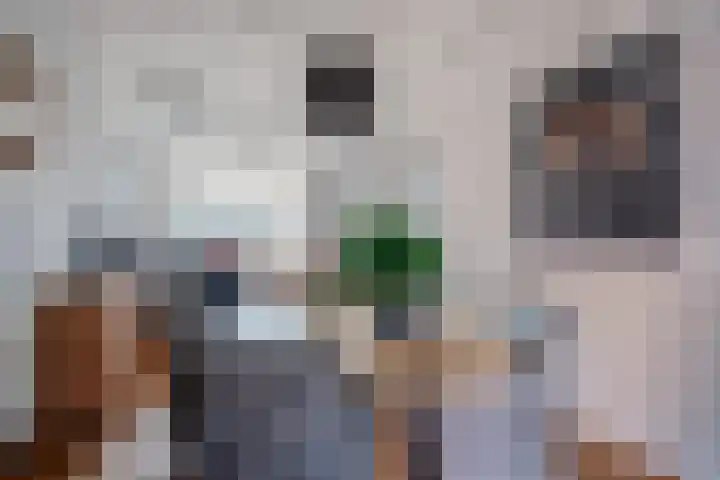 Nieuwstad 29 Farmsum thumbnail 10