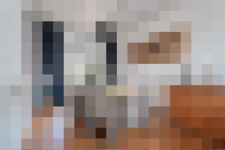 Nieuwstad 29 Farmsum thumbnail 11