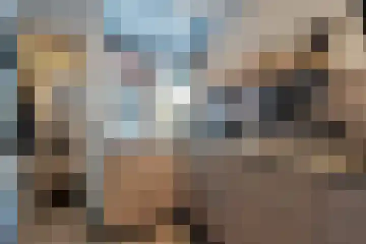 Nieuwstad 29 Farmsum thumbnail 14