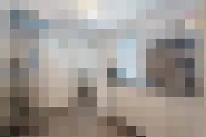 Nieuwstad 29 Farmsum thumbnail 17
