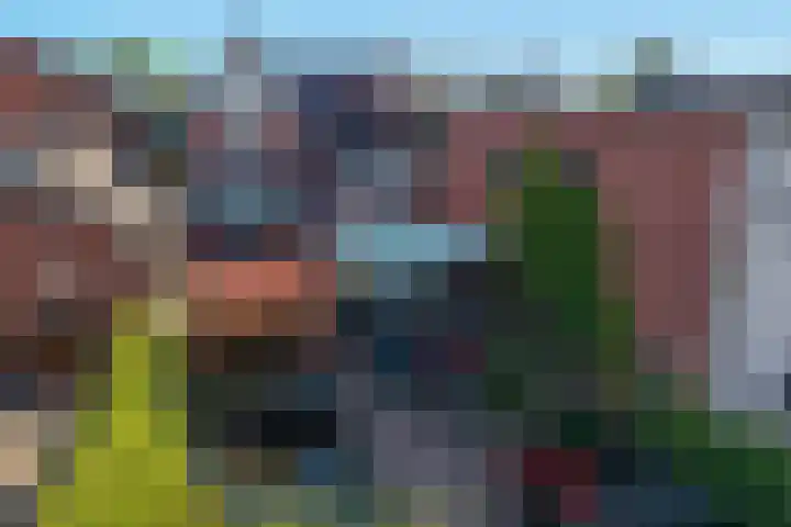 Nieuwstad 29 Farmsum thumbnail 39