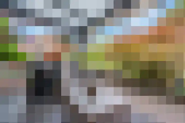 Nieuwstad 29 Farmsum thumbnail 52