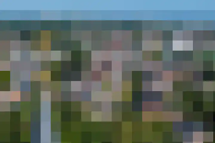 Nieuwstad 29 Farmsum thumbnail 61