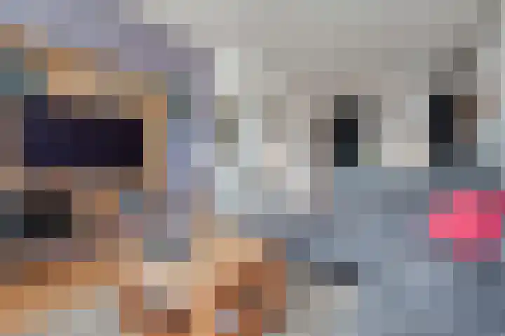 Nieuwstad 29 Farmsum thumbnail 9