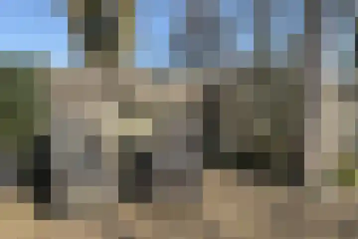 Nieuwstad 31 Vorden thumbnail 10