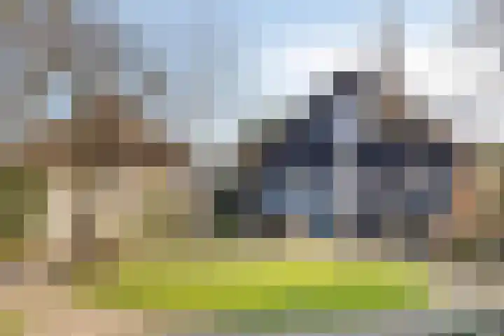 Nieuwstad 31 Vorden thumbnail 12