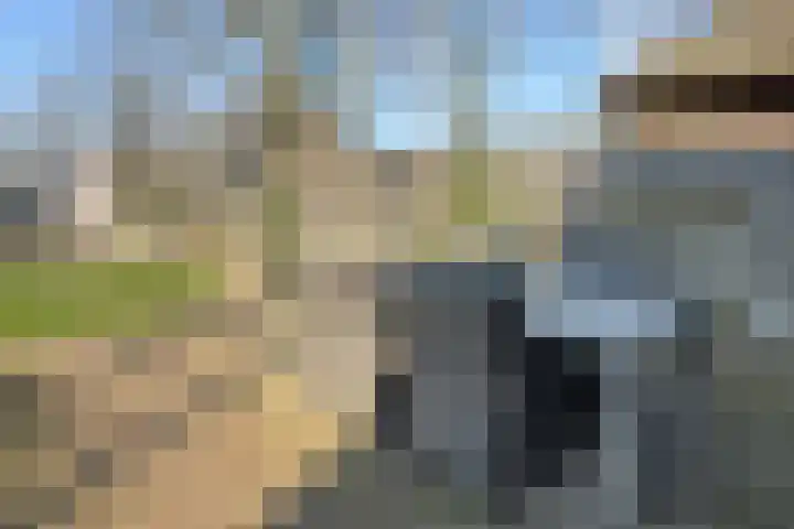 Nieuwstad 31 Vorden thumbnail 13