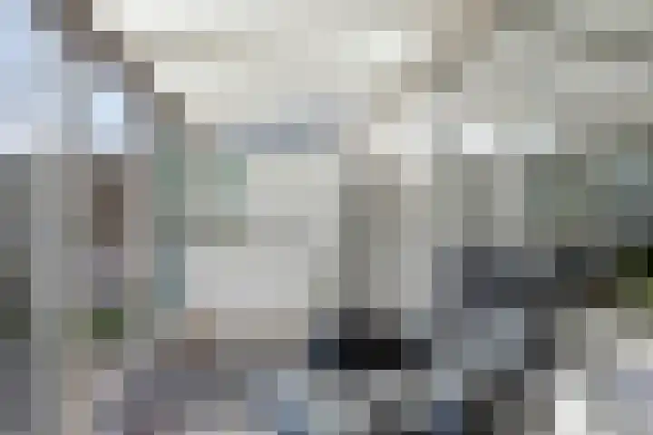 Nieuwstad 31 Vorden thumbnail 23