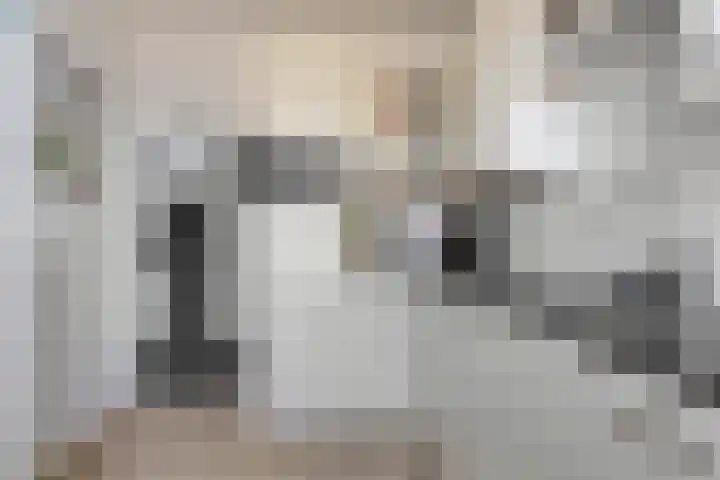 Nieuwstad 31 Vorden thumbnail 25