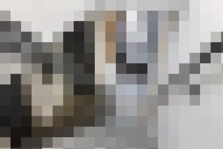Nieuwstad 31 Vorden thumbnail 34