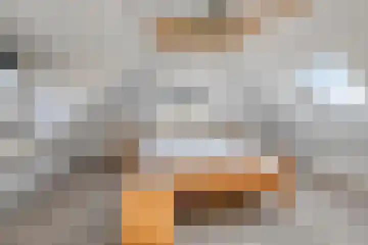 Nieuwstad 31 Vorden thumbnail 36