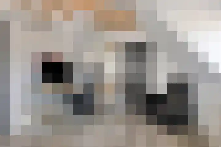 Nieuwstad 31 Vorden thumbnail 39