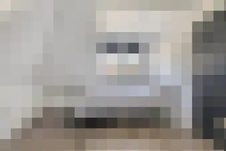 Nieuwstad 31 Vorden thumbnail 40