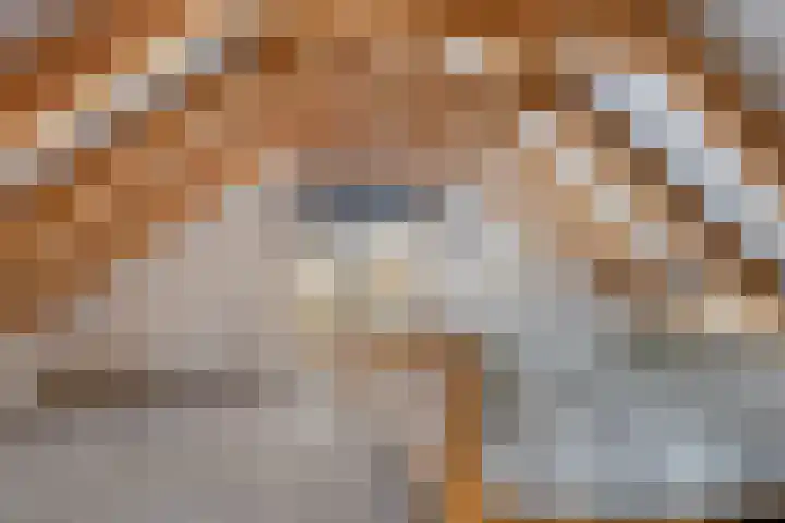 Nieuwstad 31 Vorden thumbnail 47