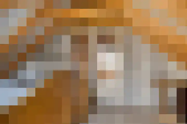 Nieuwstad 31 Vorden thumbnail 48