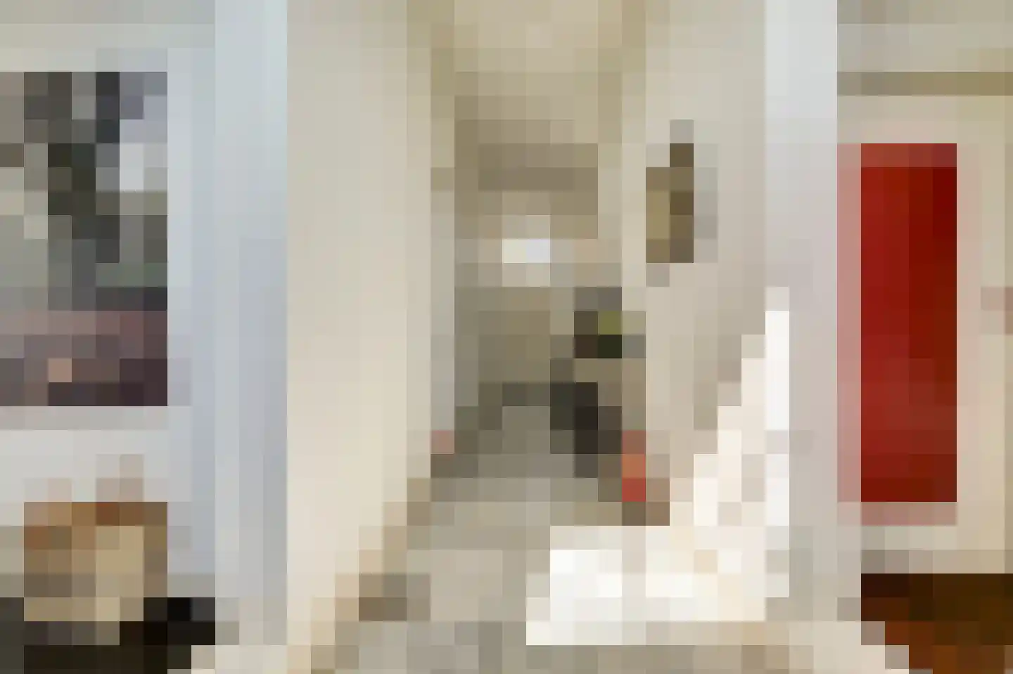 Nieuwstad 34 Hindeloopen thumbnail 6