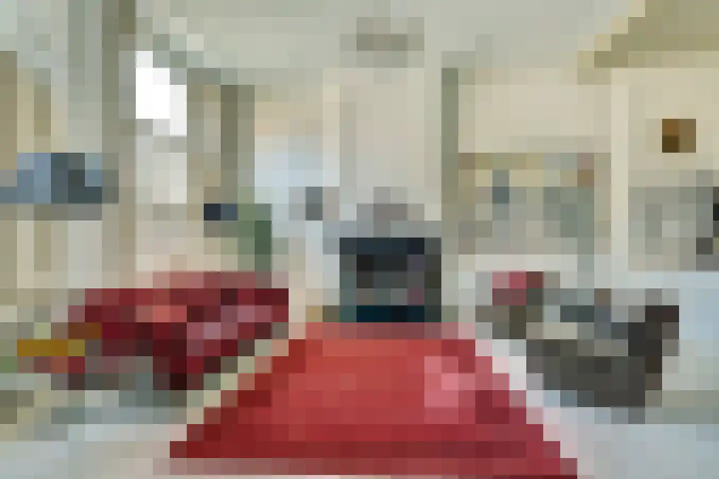 Nieuwstad 34 Hindeloopen thumbnail 8