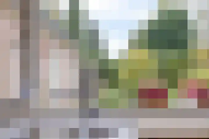 Nieuwstad 35 Vorden thumbnail 12