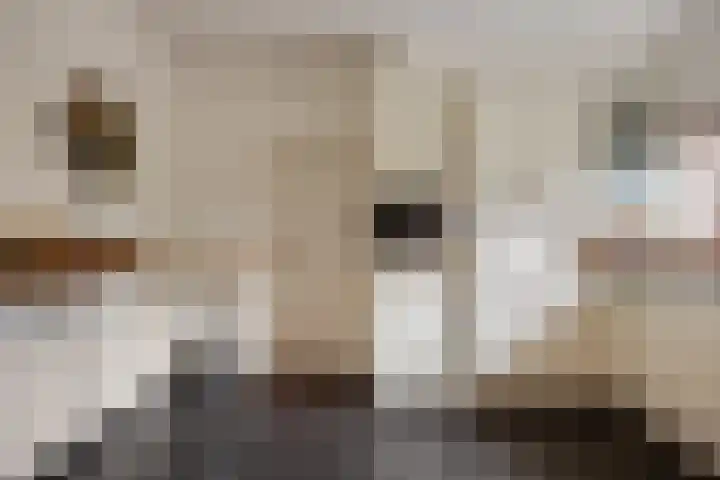 Nieuwstad 35 Vorden thumbnail 13