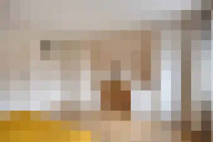 Nieuwstad 35 Vorden thumbnail 20