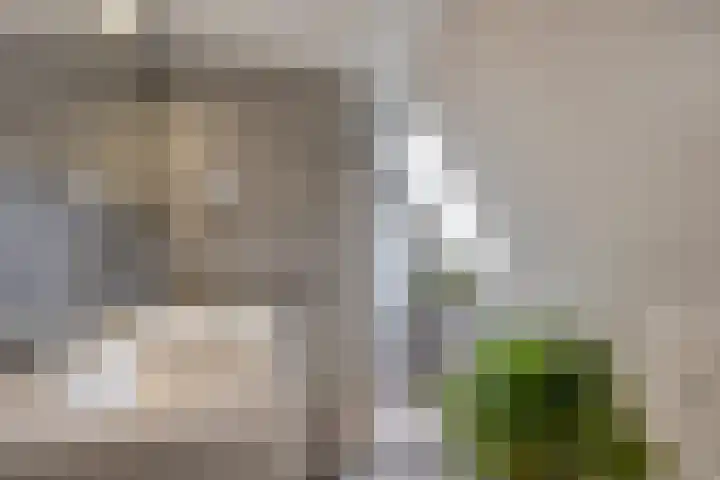 Nieuwstad 35 Vorden thumbnail 21