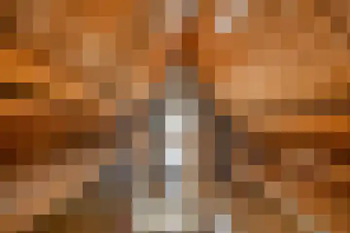 Nieuwstad 35 Vorden thumbnail 33