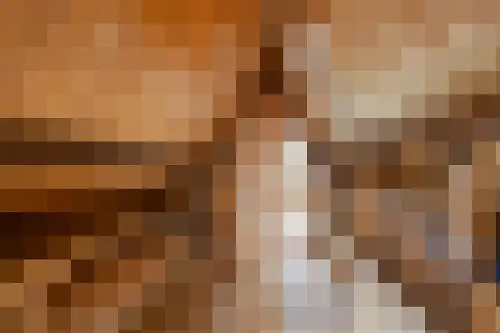 Nieuwstad 35 Vorden thumbnail 34