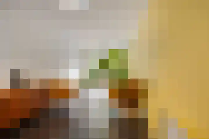 Nieuwstad 35 Vorden thumbnail 43