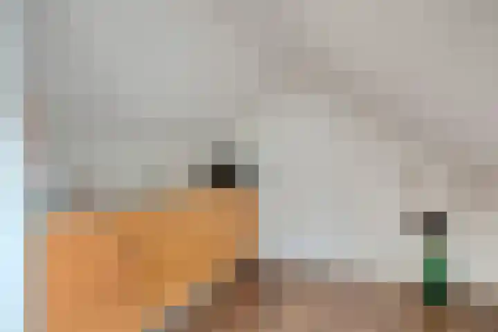 Nieuwstad 35 Vorden thumbnail 47