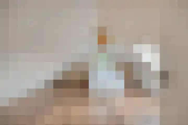 Nieuwstad 35 Vorden thumbnail 48